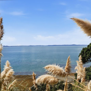 Mellons Bay Beach